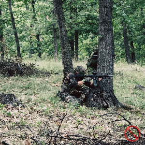 Field Image